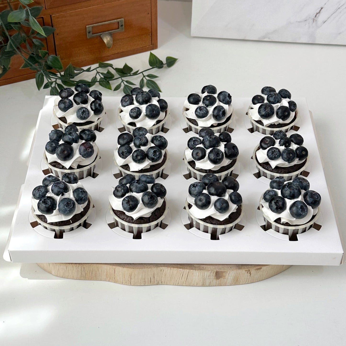 Blueberry Midnight Cupcakes